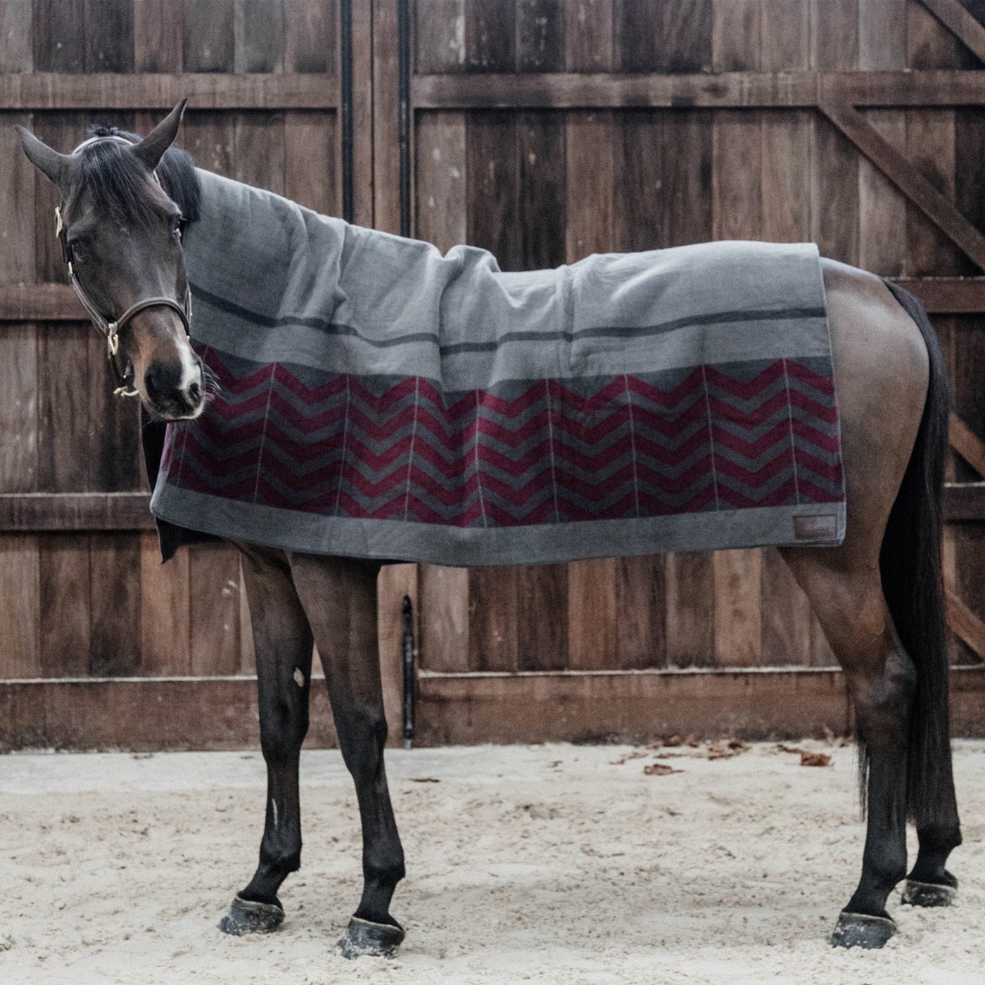 Kentucky Heavy Fleece Rug - grey/red (210*200)