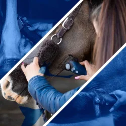 KLIPPEMASKIN LISTER ECLIPSE