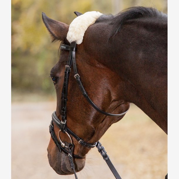 Real Lambskin Noseband - Or Headpiece-Cushioning (naturell)