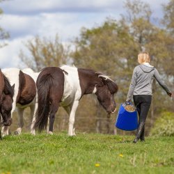 Btte Flexi Tub V-Plast 65 Liter (Bl)