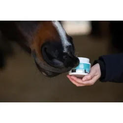 MAGICBRUSH LUCKY LIPS LIP BALM FOR HORSES APPLE