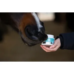 MAGICBRUSH LUCKY LIPS LIP BALM FOR HORSES APPLE