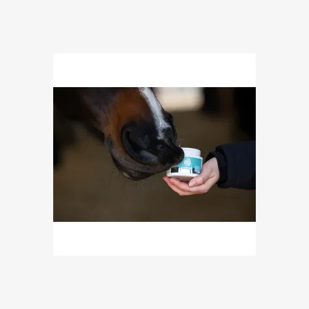 MAGICBRUSH LUCKY LIPS LIP BALM FOR HORSES APPLE
