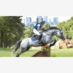 Air-Cooled Original Eventing Boots - svart