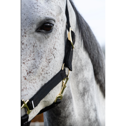 Grime cushion web fra Heimer