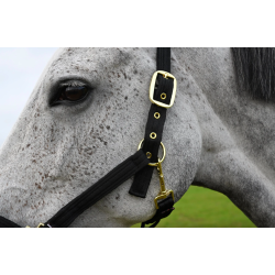 Grime cushion web fra Heimer