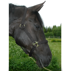 Grime cushion web fra Heimer