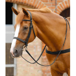 Salvatore Rubber &amp; Leather Grip Reins