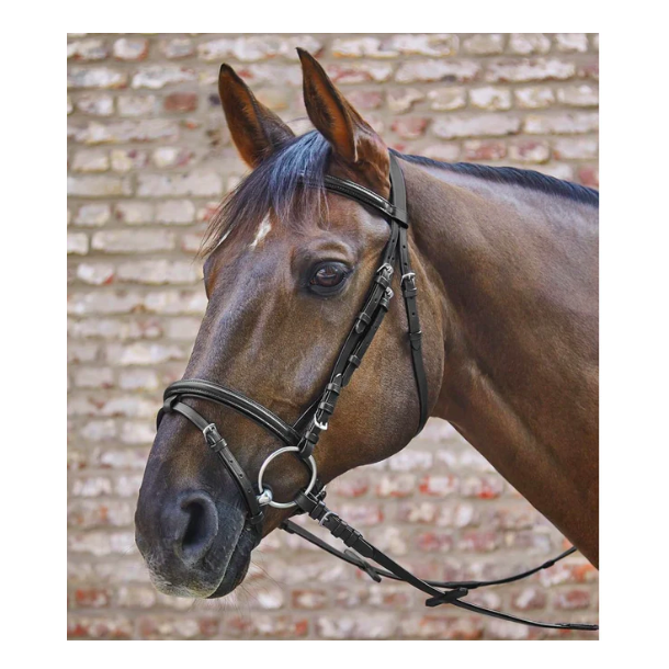 Star basic hodelag med tyler str full