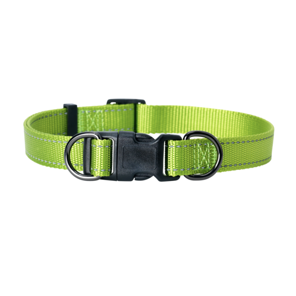 Nylonhalsbnd Iris Stllbart Grnn (20mm, 35-60cm) grnn