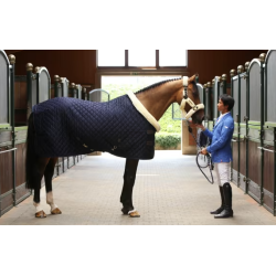 Kentucky show rug - 160g - navy