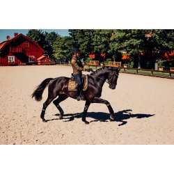 Fleece bandasjer - Golden Brass - One size - Equestrian Stockholm