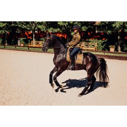 Fleece bandasjer - Golden Brass - One size - Equestrian Stockholm