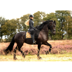 DRESSAGE SADDLE PAD GOLDEN BRASS - FULL - Equestrian Stockholm