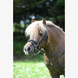 HODELAG HEIMER MILTON SVART/SLV