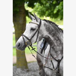 HODELAG HEIMER MILTON HAVANA/MESSING