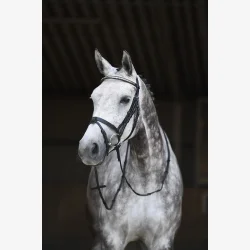 HODELAG HEIMER GLADSTONE SVART/SLV