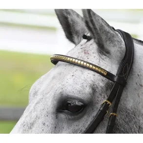 PANNEBND HEIMER CLINCHER HAVANA/MESSING