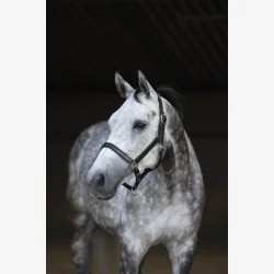 LRGRIME HEIMER SVART/SLV