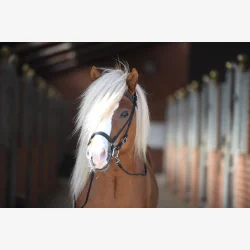 LAV NESEREIM HEIMER ISLAND SVART