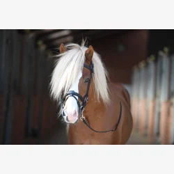 LAV KOMBINERT NESEREIM HEIMER ISLAND SVART