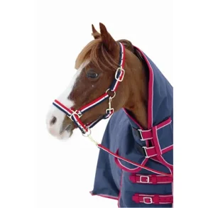 GRIME HEIMER CUSHION WEB FLERFARGET - NORSK FLAGG DESIGN