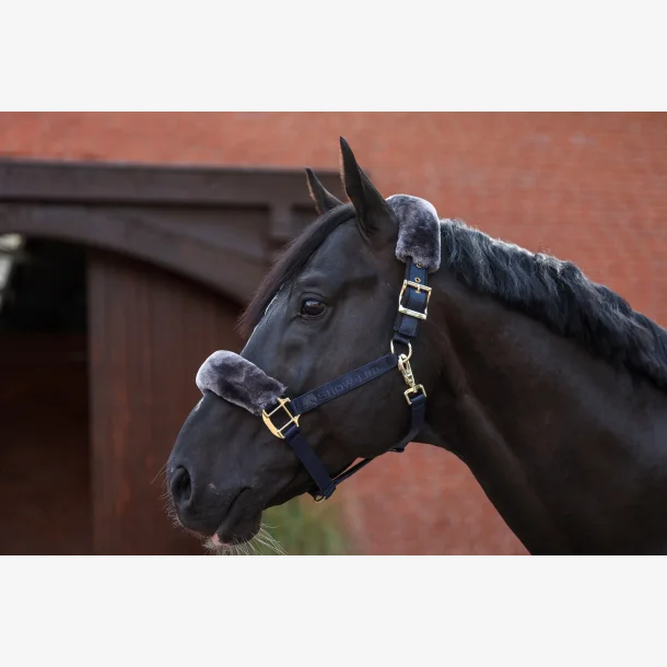 Bucas - SHOW-LINE HALTER (navy med gr pus)  - Halv pus grimen