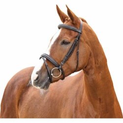 HG Ayal Hodelag - svart - ponni