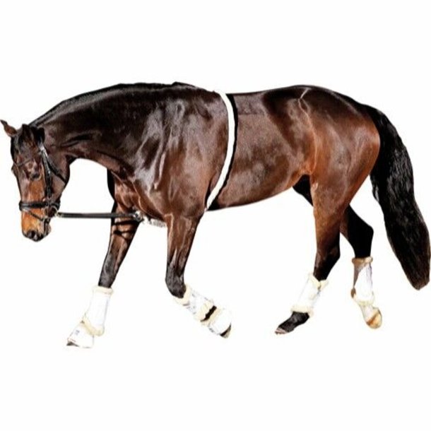 HorseGuard Soft Longeringshjelp (ponni/cob)