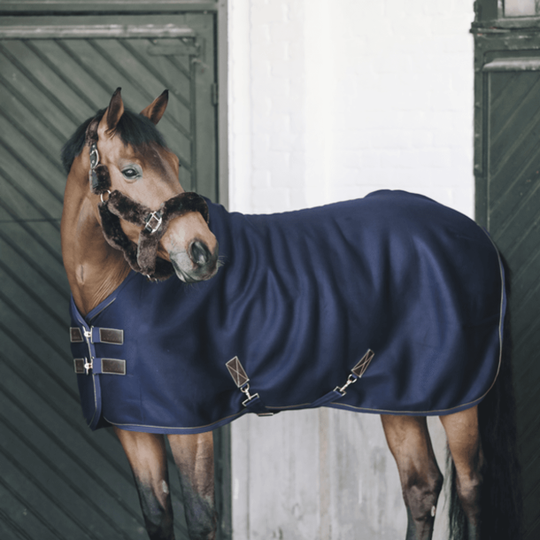 Kentucky - 3D Spacer Cooler Fleece Sheet - navy